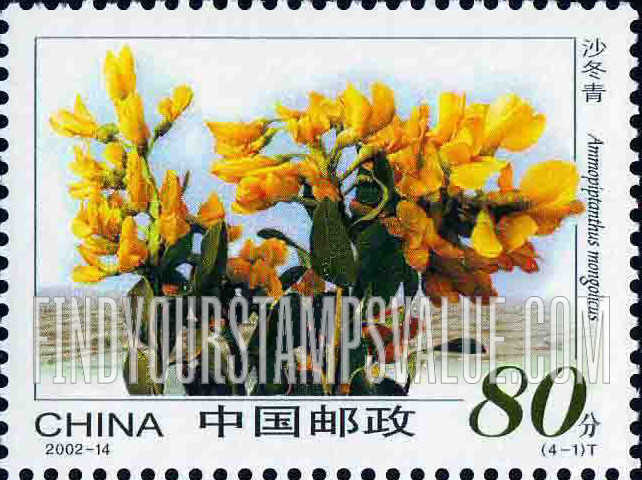FindYourStampsValue: Desert Flowers: Ammopiptanthus mongolicus - 沙漠植物: 沙冬青