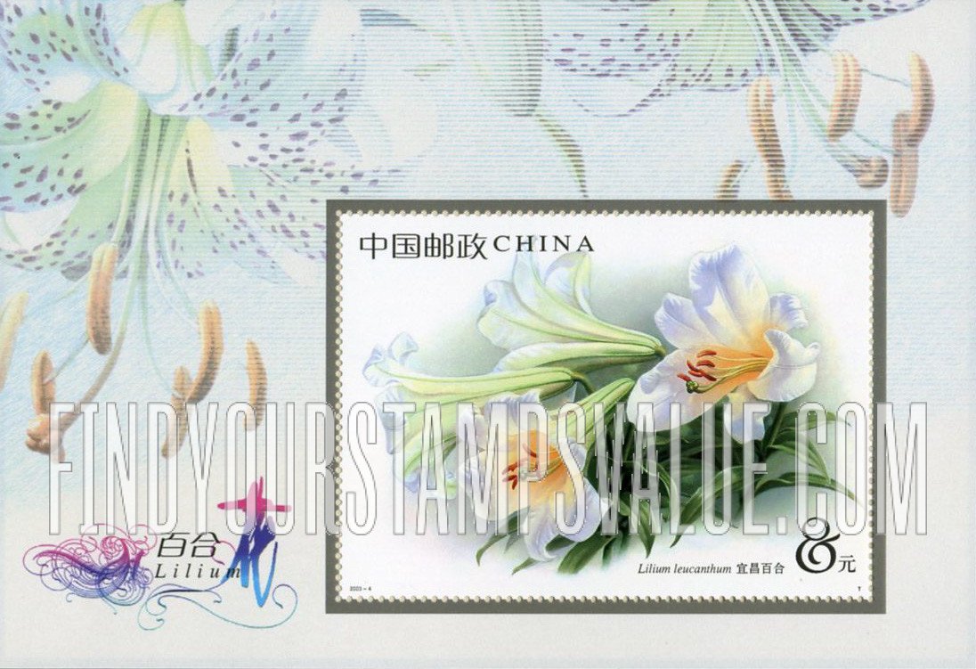 FindYourStampsValue: Lilies: Lilium leucanthum - 百合花: 宜昌百合