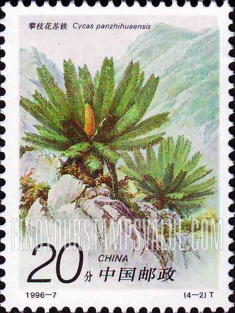 FindYourStampsValue: Iron Trees: Cycas panzhihuaensis - 铁树: 攀枝花苏铁