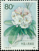 FindYourStampsValue: Rhododendrons: Fortunei - 杜鹃花: 云锦杜鹃
