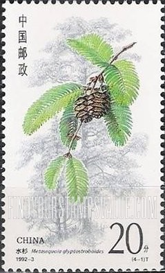 FindYourStampsValue: Conifers: Metasequoia glyptostroboides - 杉树: 水杉