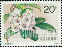 FindYourStampsValue: Rhododendrons: Fictolacteum - 杜鹃花: 棕背杜鹃