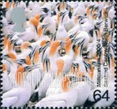 FindYourStampsValue: Great Britain (United Kingdom): Above & Beyond - Sea Birds, Scottish Sea Bird Center