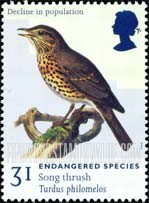 FindYourStampsValue: Great Britain (United Kingdom): Endangered Species - Song Thrush