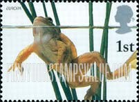 FindYourStampsValue: Great Britain (United Kingdom): Europa - Frog