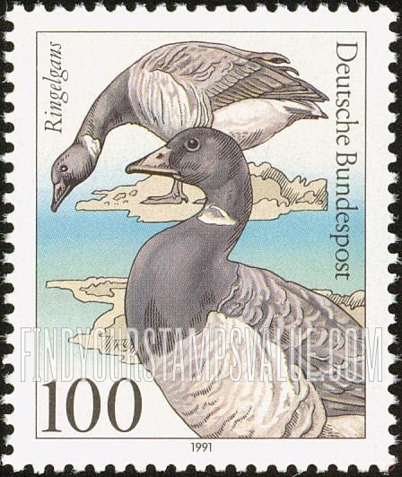 FindYourStampsValue: Sea Birds: Ringelgans, Branta bernicla