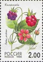 FindYourStampsValue: Russia: Russian Federation, Wild Berries - Rubus Arcticus