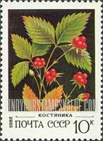 FindYourStampsValue: Russia: USSR, Wild Berries - Stone Brambles