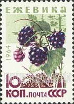 FindYourStampsValue: Russia: USSR, Wild Berries - Blackberries