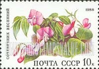 FindYourStampsValue: Russia: USSR, Flowers populating Deciduous Forests - Orobus Vernus