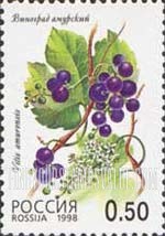 FindYourStampsValue: Russia: Russian Federation, Wild Berries - Vitis Amurensis