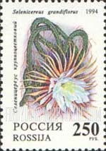 FindYourStampsValue: Russia: Russian Federation, Cactuses - Selenicereus Grandiflorus