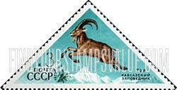 FindYourStampsValue: Russia: USSR, Caucasus Wildlife Reserve - Ibex