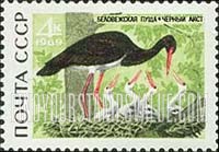 FindYourStampsValue: Russia: USSR, Belovezhskaya Forest Reservation - Black Stork feeding Young