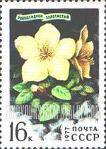 FindYourStampsValue: Russia: USSR, Siberian Flowers - Golden Rhododendron