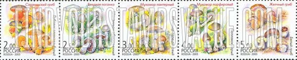FindYourStampsValue: Russia: Russian Federation - Mushrooms