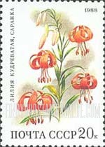 FindYourStampsValue: Russia: USSR, Flowers populating Deciduous Forests - Lilium Martagon