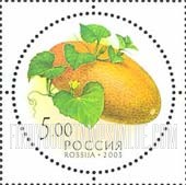 FindYourStampsValue: Russia: Russian Federation, Fruit - Melon