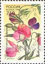 FindYourStampsValue: Russia: Russian Federation, Flowers - Lathyrus Odoratus
