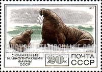 FindYourStampsValue: Russia: USSR, Protected Fauna - Walrus and Calf