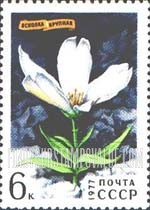 FindYourStampsValue: Russia: USSR, Siberian Flowers - Cerasticum Maxinicem