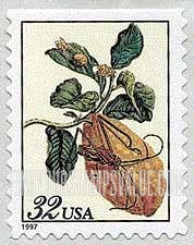 FindYourStampsValue: MERIAN BOTANICAL PRINTS, Self-Adhesive Booklet stamp