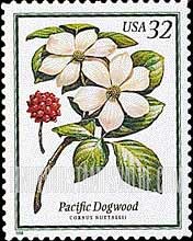FindYourStampsValue: FLOWERING TREES - Pacific Dogwood, Self-adhesive stamp