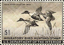 FindYourStampsValue: SHOVELLER DUCKS IN FLIGHT