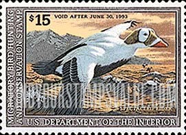 FindYourStampsValue: SPECTACLED EIDER
