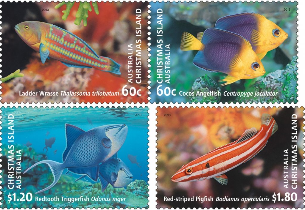Fishes of Christmas Island