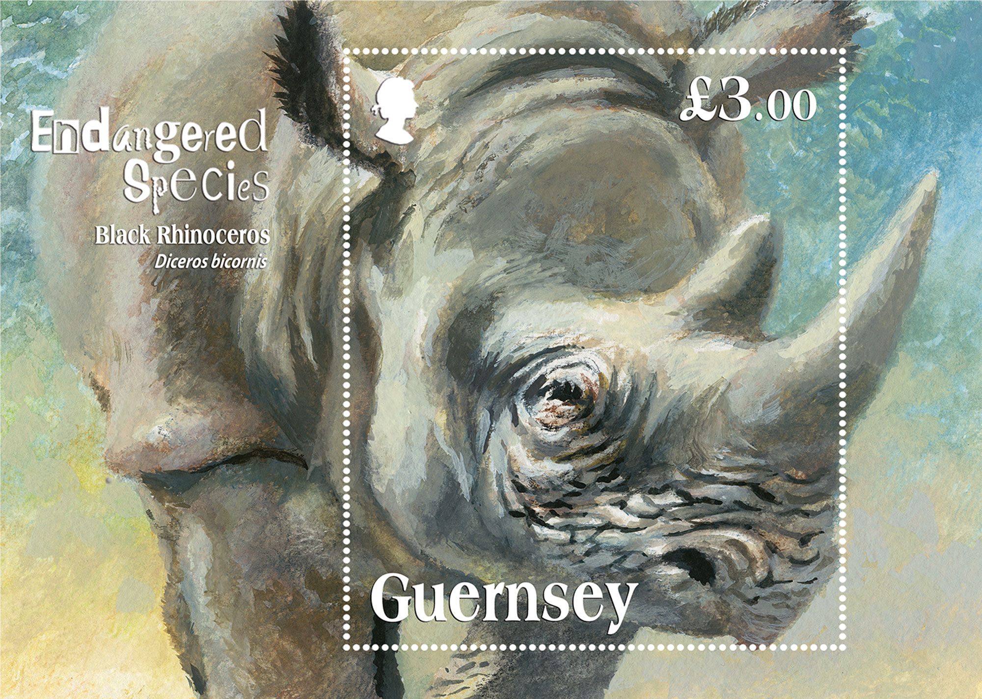 Endangered Species: The Black Rhinoceros. A bright miniature sheet with one stamp presented by Guernsey Post