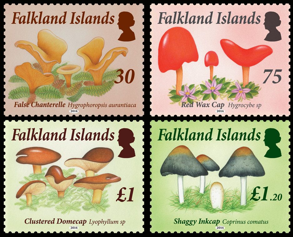 Falkland Islands: Fungi stamps 2014