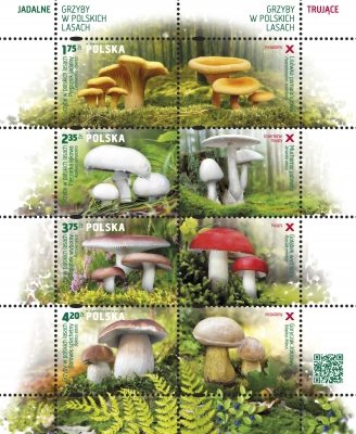 Mushrooms as “Nature’s larder” in Polish culture