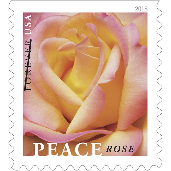 Spring is in the Air! USPS has unveiled the Peace Rose Forever Stamp