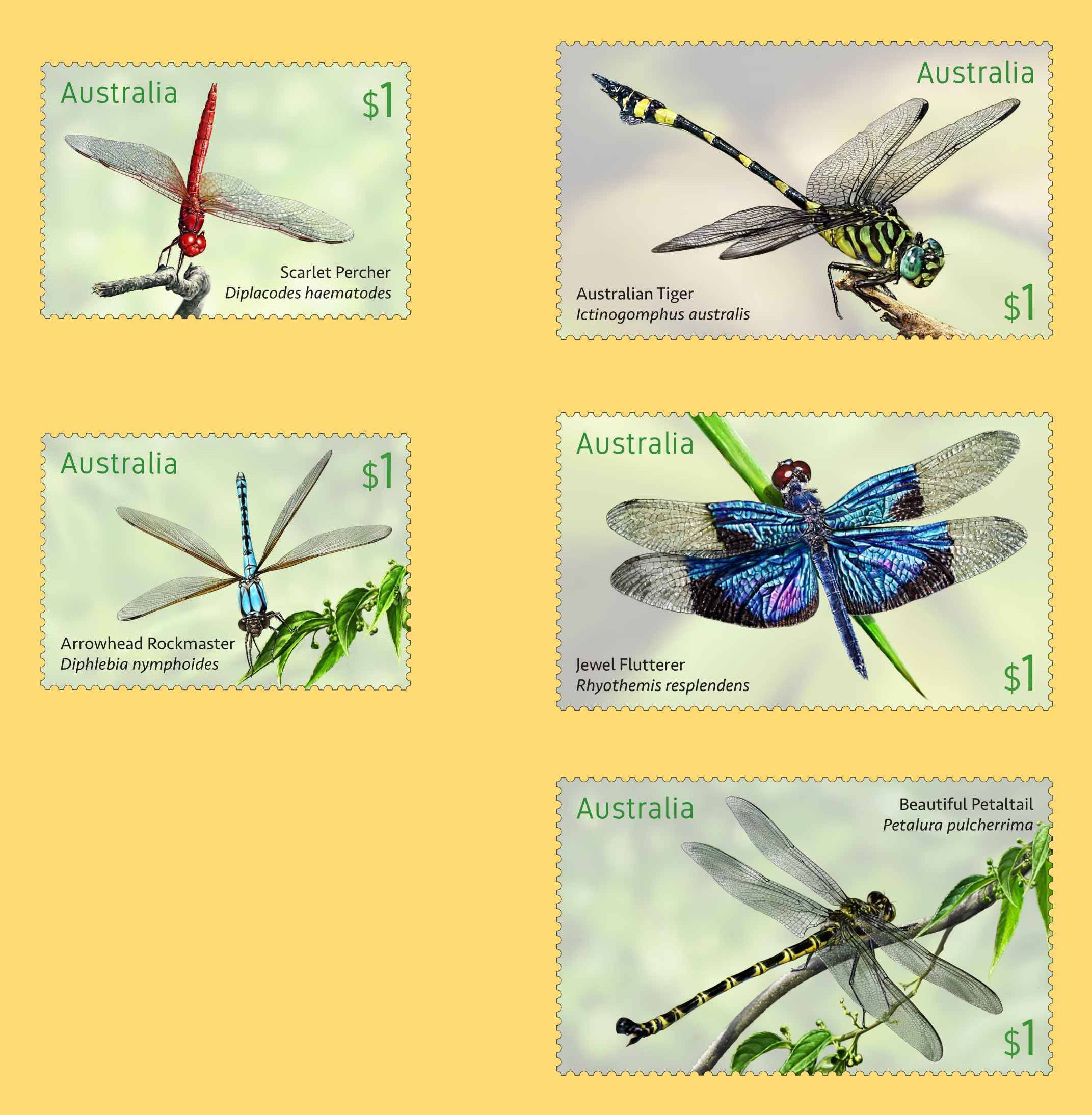 Dragonflies honoured on a new set of stamps. Five special items unveiled by Australia Post