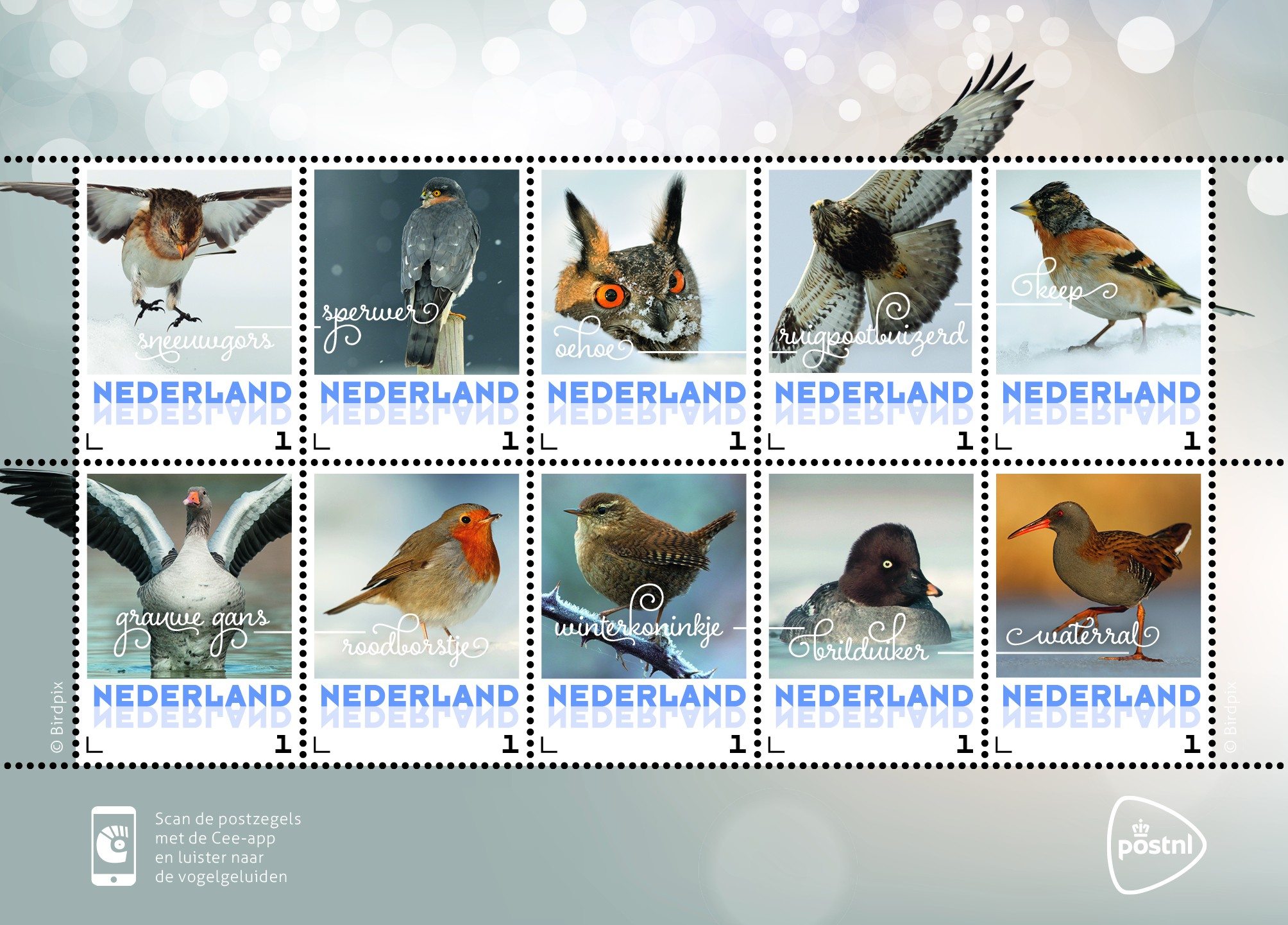 Winter birds land on the first PostNL sheetlet of the 2017. Ten personalized stamps introduced