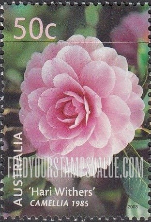 FindYourStampsValue: Australian Cultivars: Hari Withers camellia