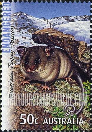 FindYourStampsValue: Endangered Animals: Mountain pygmy possum