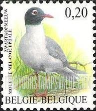 FindYourStampsValue: Bird: Mouette melanocephale