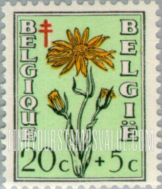 FindYourStampsValue: Semi-Postal: Arnica