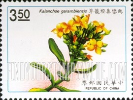 FindYourStampsValue: Native Plants: Kalanchoe garambiensis - 台湾植物: 鹅銮鼻灯笼草
