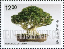 FindYourStampsValue: Bonsai: Buxus harlandii - 盆景: 金柳