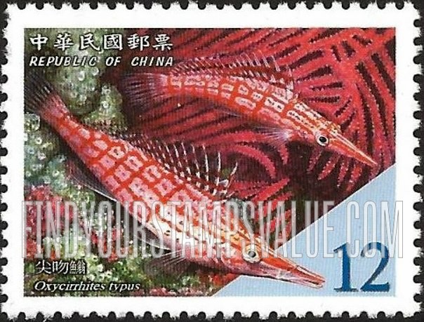 FindYourStampsValue: Fish: Oxycirrhites typus - 台湾珊瑚礁鱼类: 尖吻鱼翁