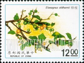 FindYourStampsValue: Native Plants: Elaeagnus oldhamii - 台湾植物: 木宜梧