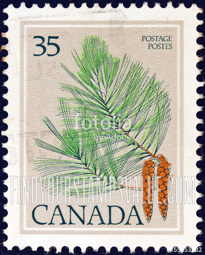 FindYourStampsValue: White pine