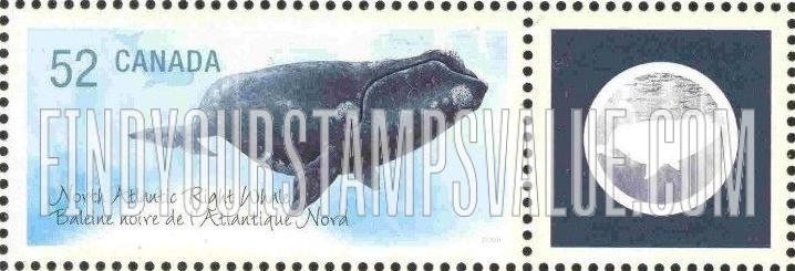 FindYourStampsValue: Endangered Animals Type of 2006: North Atlantic right whale