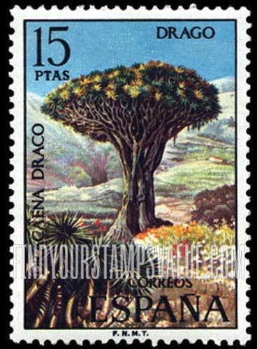 FindYourStampsValue: Dracaena draco