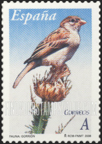 FindYourStampsValue: Sparrow