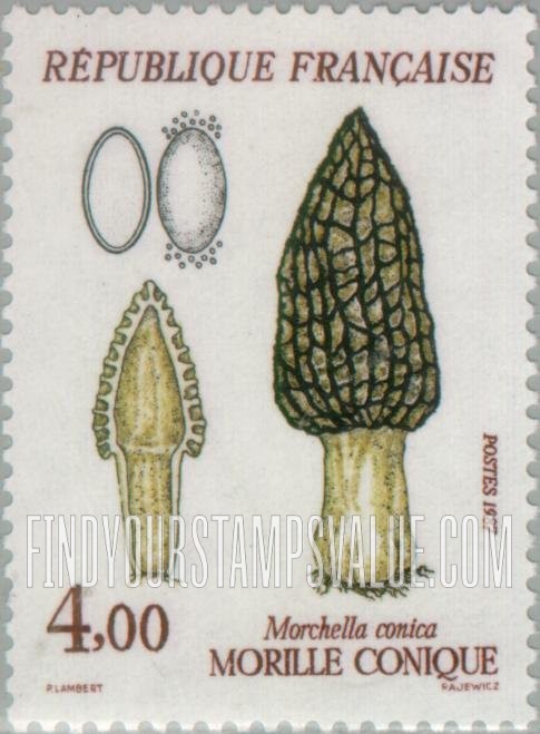 FindYourStampsValue: Mushrooms: Morchella conica