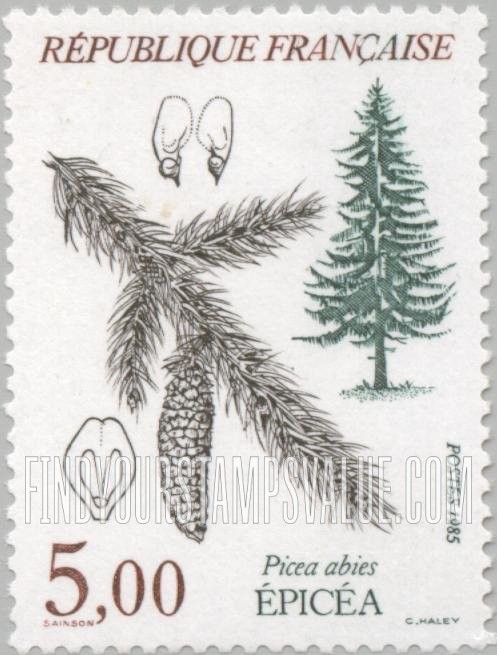 FindYourStampsValue: Picea abies
